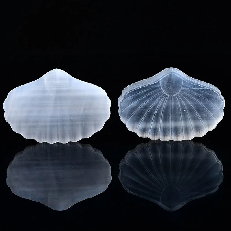 Unique Selenite Shell Stone