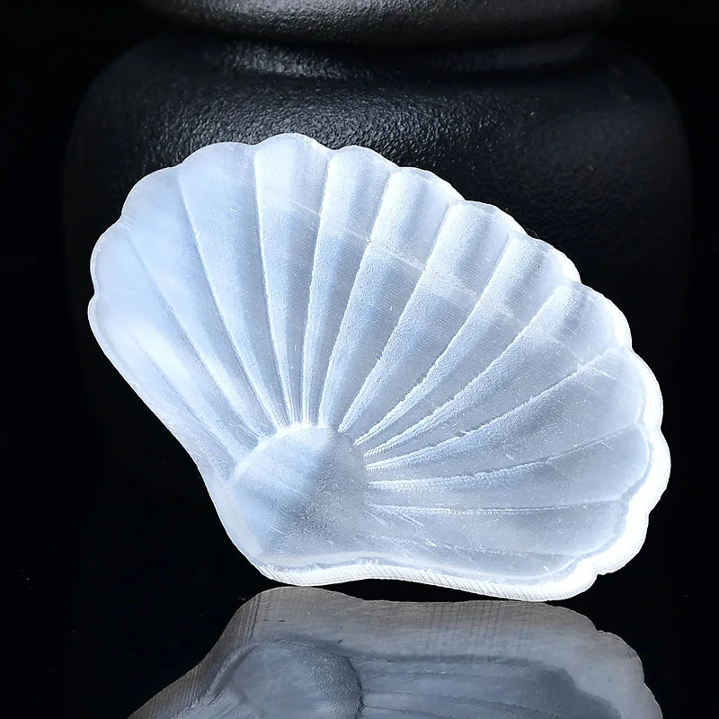 Unique Selenite Shell Stone