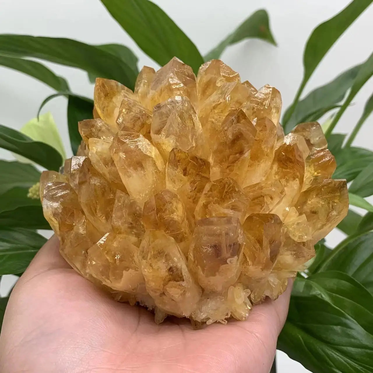 Pierre Unique Quartz Citrine