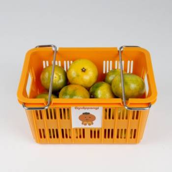 [제주 감귤] 꼬마소과 1kg,2kg+미니컨테이너 200g포함(1개,2개) 택1