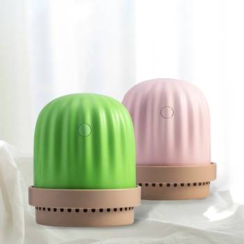 [하이온] HIGHON 초음파 무선 선인장 미니 가습기 260ML G3