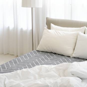 [한일의료기] 네베프 프리미엄 EMF 탄소 전기요 (싱글/더블)